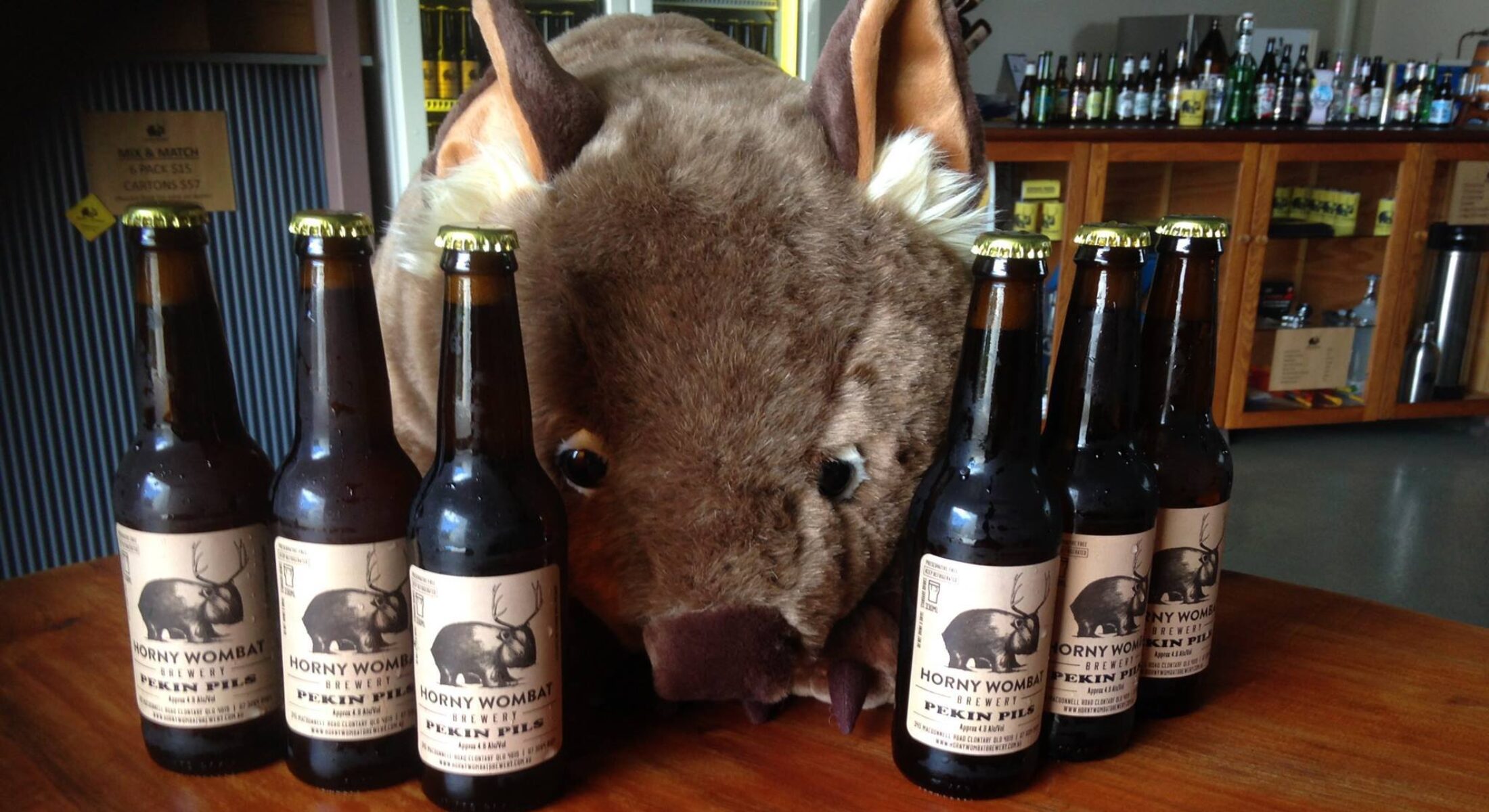 Horny Wombat Craft Beer Brisbane Moreton Bay Region