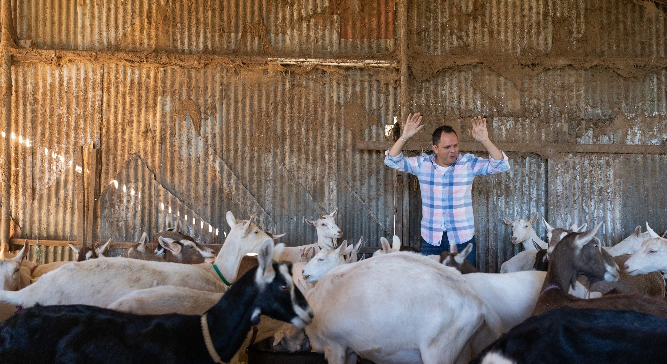 Alastair Mc Leod Little White Goat Great Day Out Tastes Moreton Bay Region