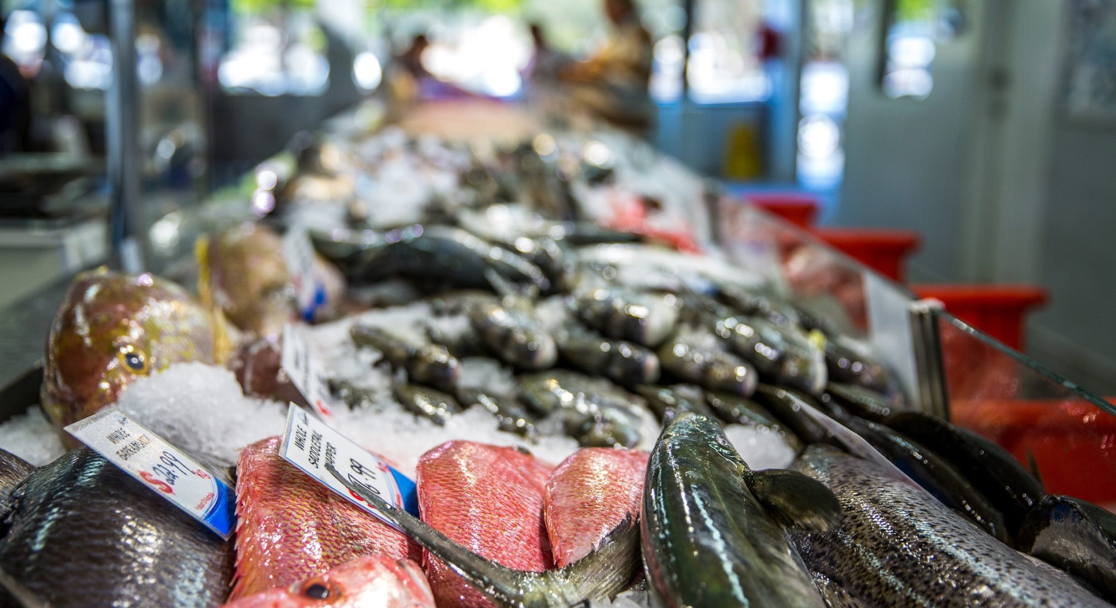 Morgans Seafood | Fish Market & Takeaway