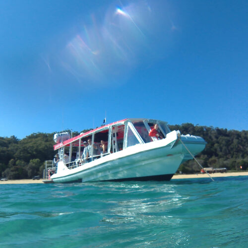 River to Bay Visit Moreton Bay Region Tangalooma day Trip snorkelling boat near Brisbane