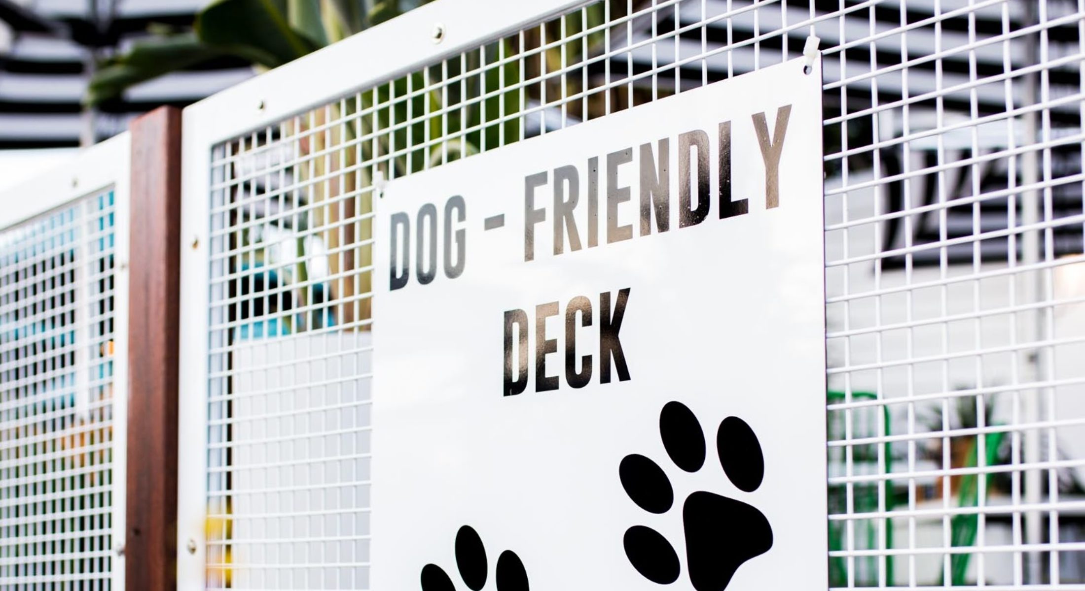 The Belvedere Hotel Woody Point Redcliffe Dog Friendly Deck Moreton Bay Region