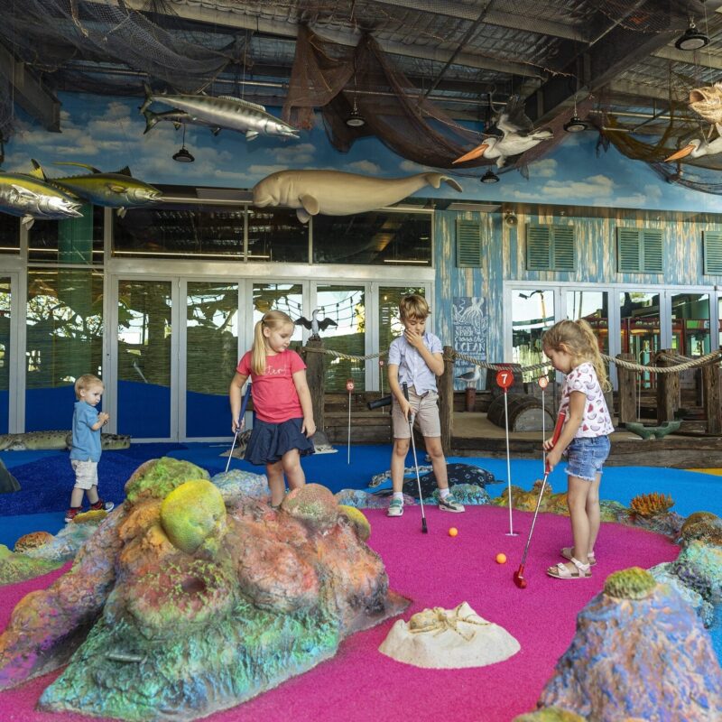 Undersea putt and play underwater themed mini golf kids on course redcliffe moreton bay Region