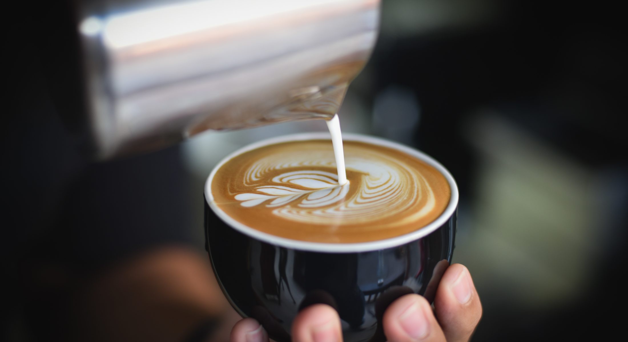 Coffee Java Morning Visit Moreton Bay Region