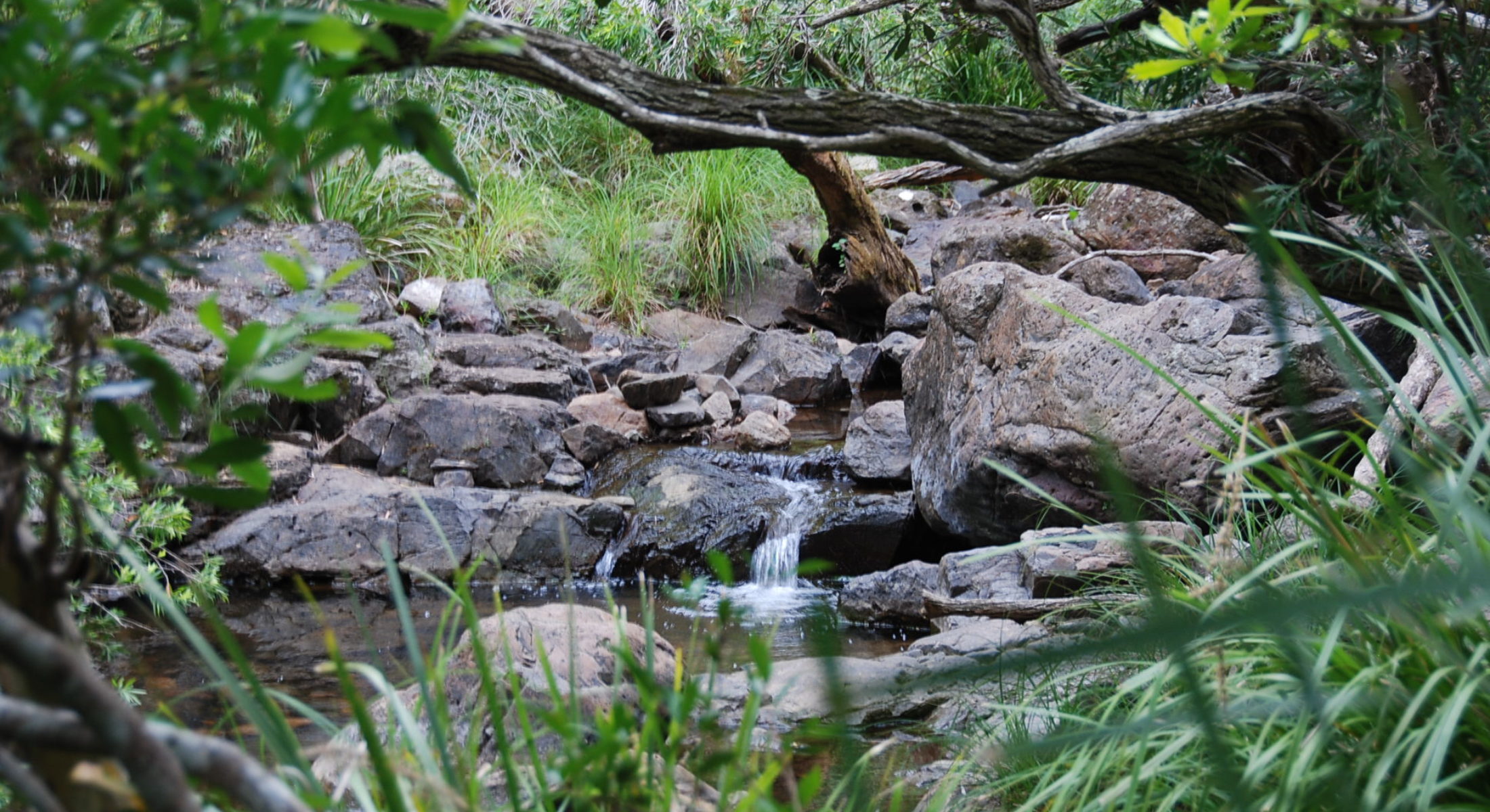 Broadwater In Daguilar National Park At Mount Mee Stream And Rocks