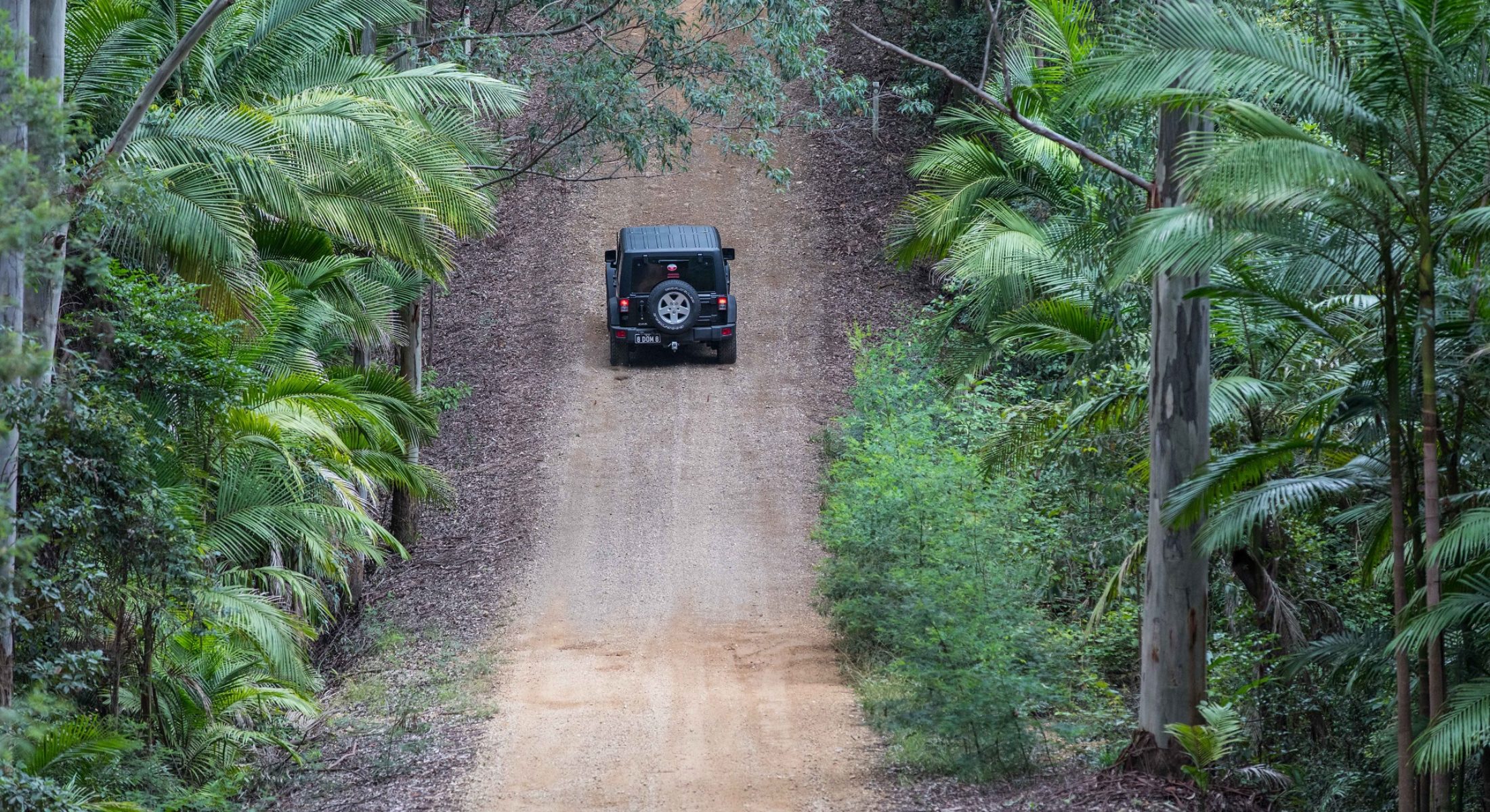Mtmee Forest 4Wdriving Moreton Bay Region
