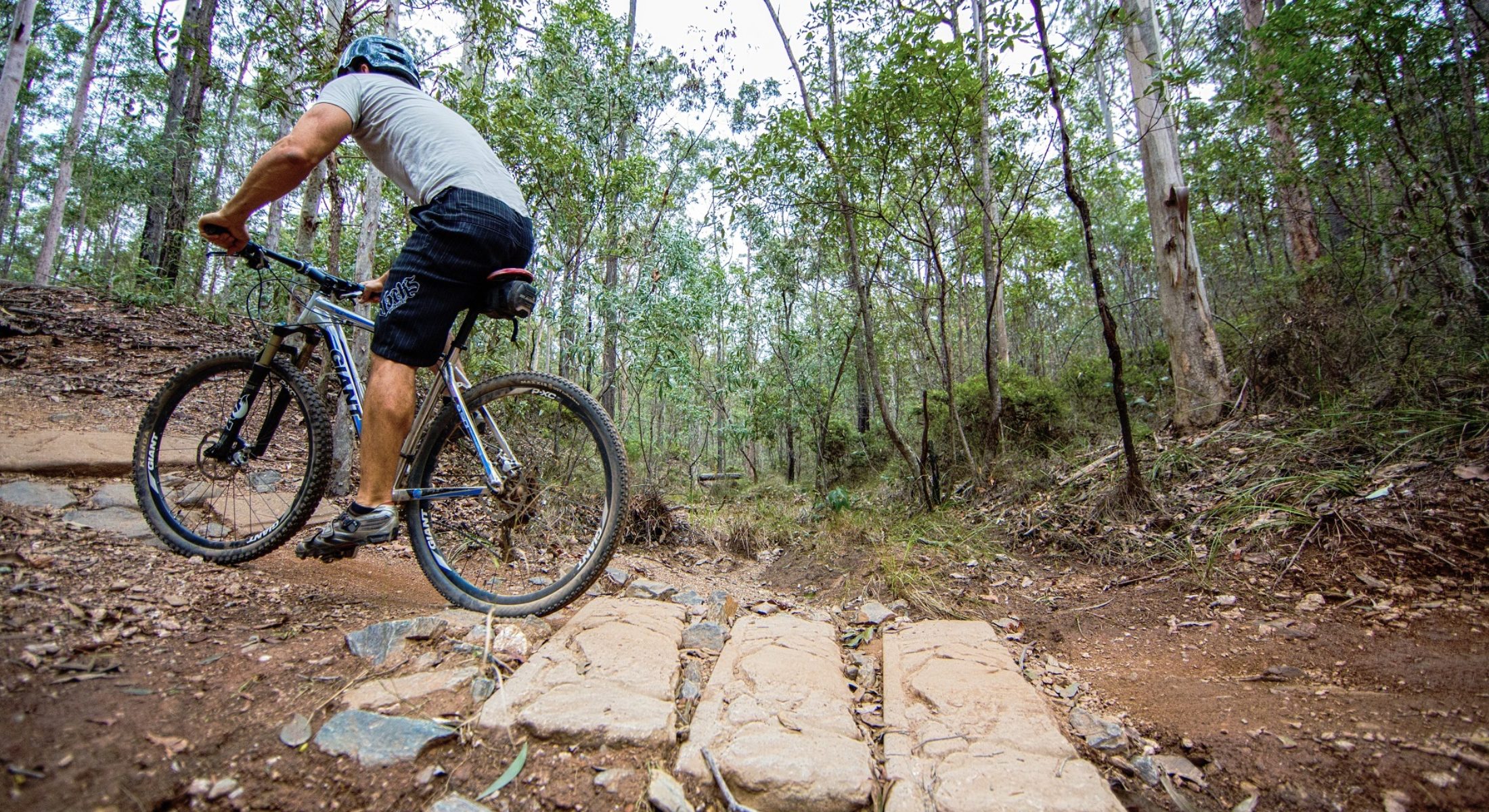 Bunyaville Track Dirt Mountain Bike Brisbane Moreton Bay Region