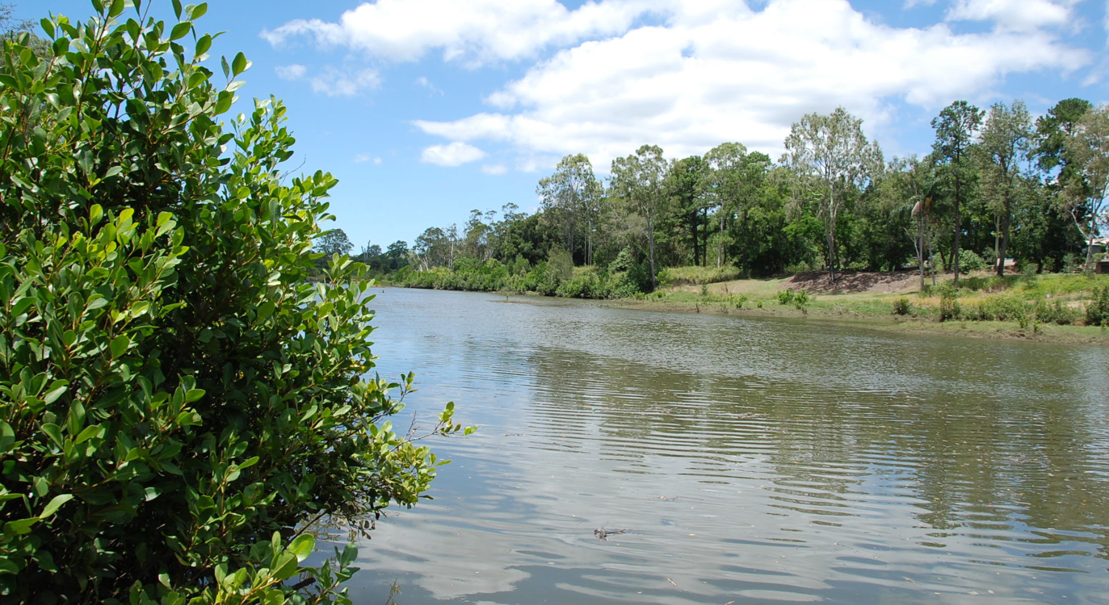 Sweeney Reserve Petrie Near Brisbane Moreton Bay Region Water
