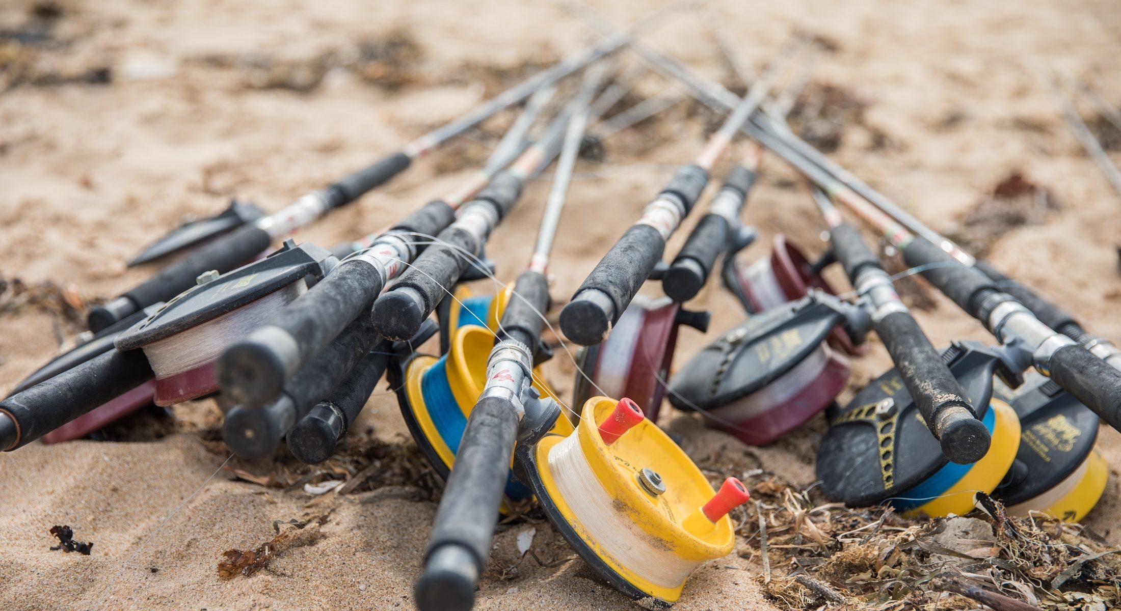 Fishing Rods Redcliffe Jetty Sand Moreton Bay Region