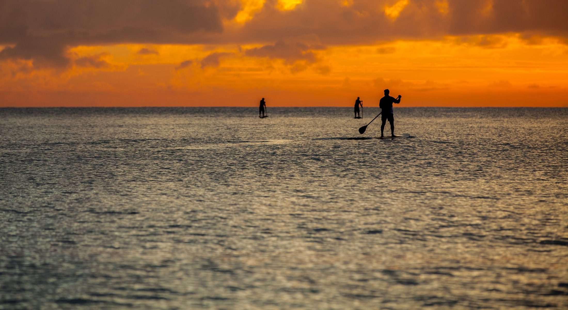 Stand Up Paddle Boarding Sup Redcliffe At Dawn Sunrise 7