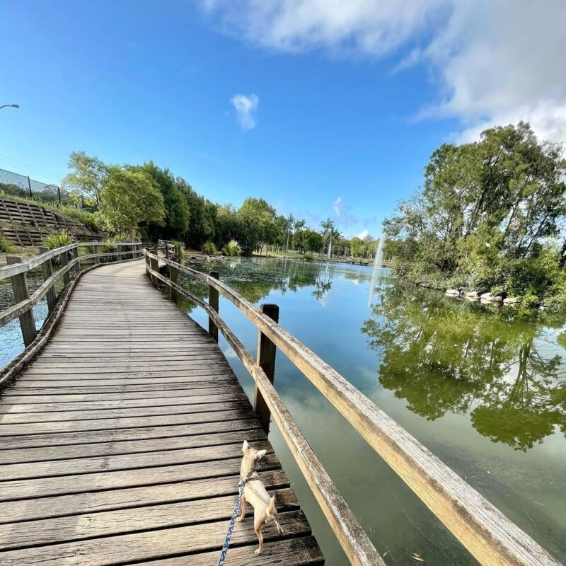 Centenary Lakes Caboolture Moreton Bay Region Walking Paths near Brisbane credit itsarlothechihuahua
