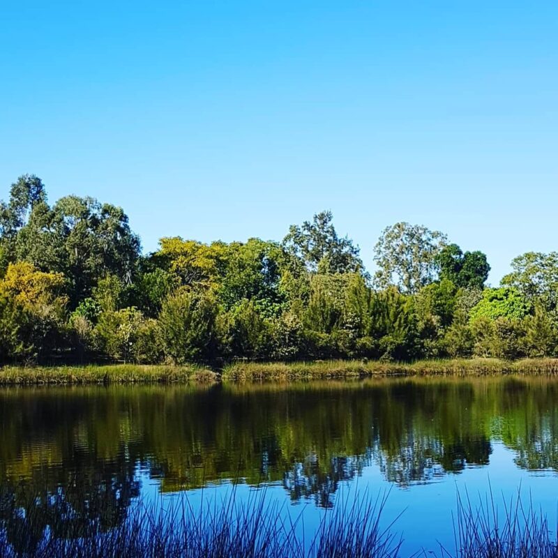 Mungarra Reserve scenic running trails near Brisbane Moreton Bay Region must credit mushaveivers
