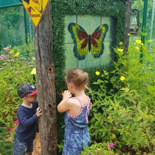 Bribie Island Butterfly House Visit Moreton bay Region Family Fun credit kids nature adventure