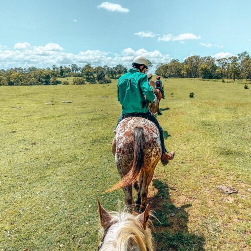 Slickers Horse Riding Moreton Bay Region must credit madi ashley adventures