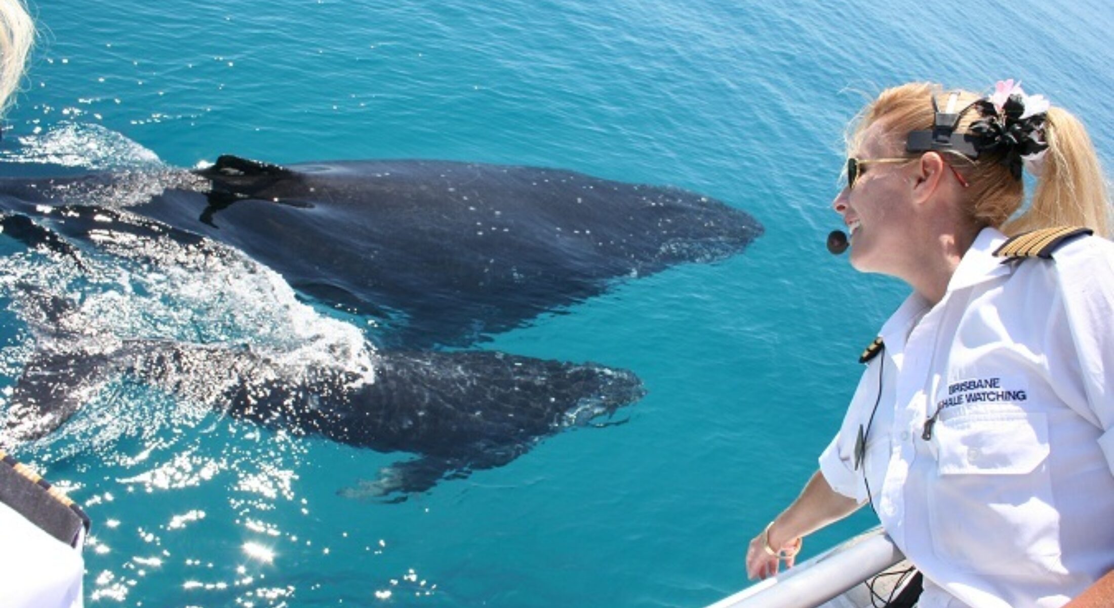 Brisbane Whale Watching Moreton Bay Region Captain Kerry
