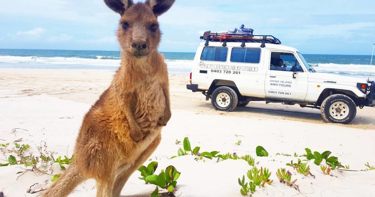 4WD Tours Near Me | Bribie Island Things to Do