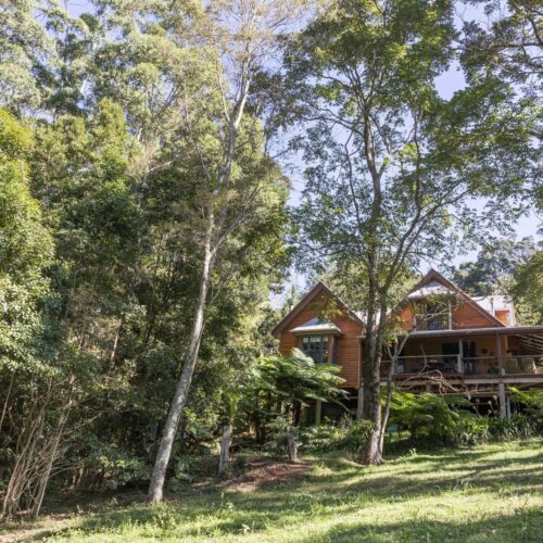 Turkeys Nest Rainforest Cottages gardens Mt Glorious Accommodation near Brisbane