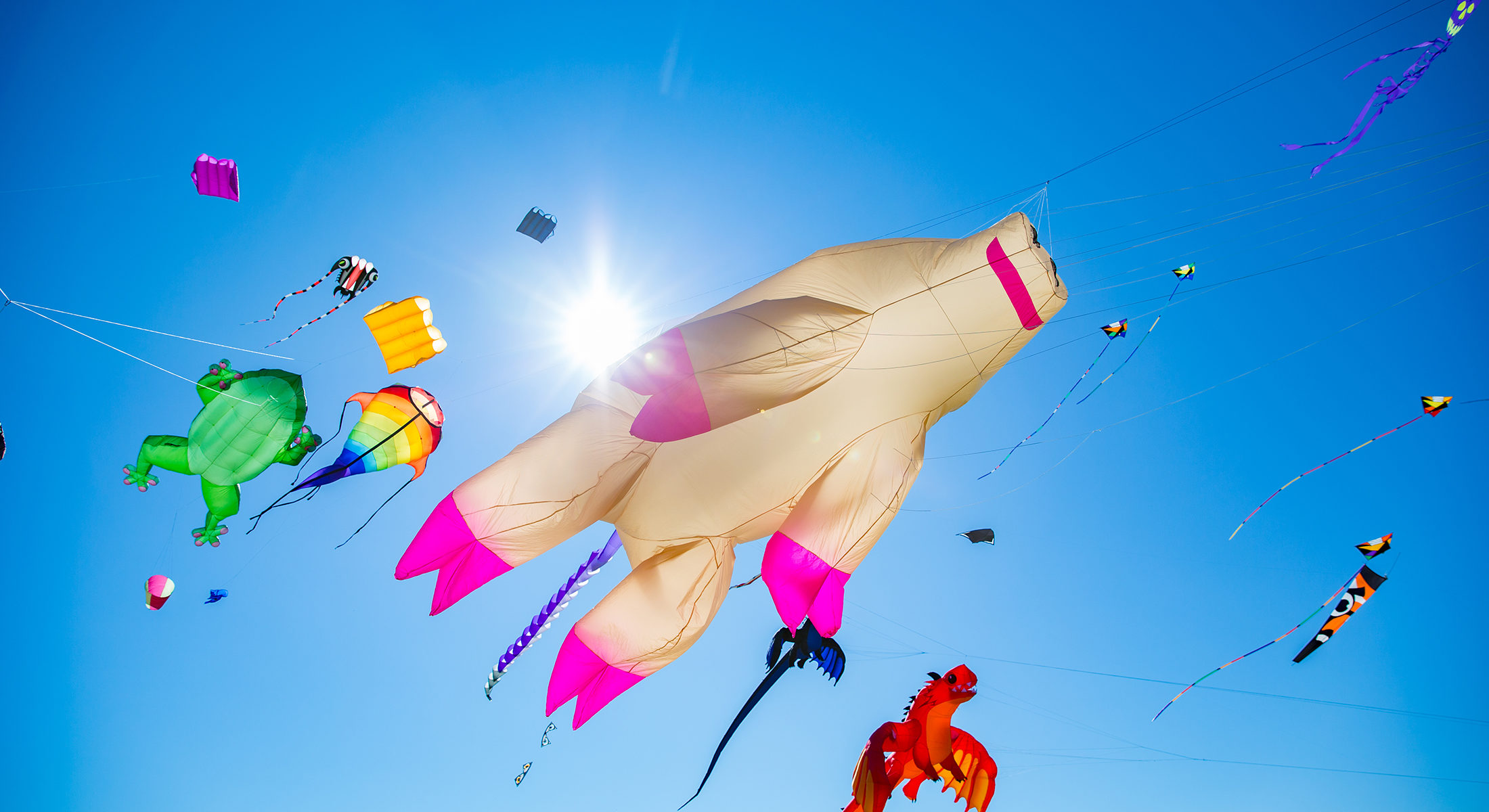 Redcliffe Kitefest 2016 Pigs Can Fly